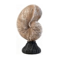 thumbnail image 2 of Byndra Resin Conch Shell Ornaments, Mediterranean Seashell Table Decor Set, Coastal Accent Sculptures for Living Room, Shelf, Desk and Display, Wall Door and Room Decor Accent, 2 of 6