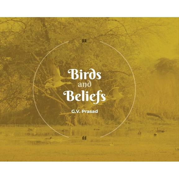 Birds and Beliefs, (Hardcover)