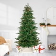 thumbnail image 2 of Northlight Clear Prelit LED Green Fir Hudson Fir Artificial Christmas Tree, 6.5', 2 of 9