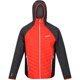 thumbnail image 1 of Regatta - Chaqueta Acolchada Andreson VI para Hombre (Naranja, Gris), 1 of 6
