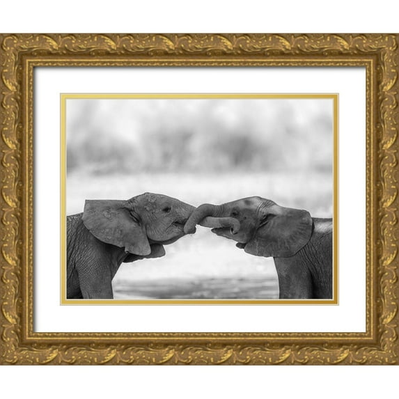 Marx, Jaco 14x12 Gold Ornate Wood Framed with Double Matting Museum Art Print Titled - Greetings