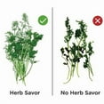 thumbnail image 3 of Prepara Green Grocer - Herb Saver Mini, 3 of 8