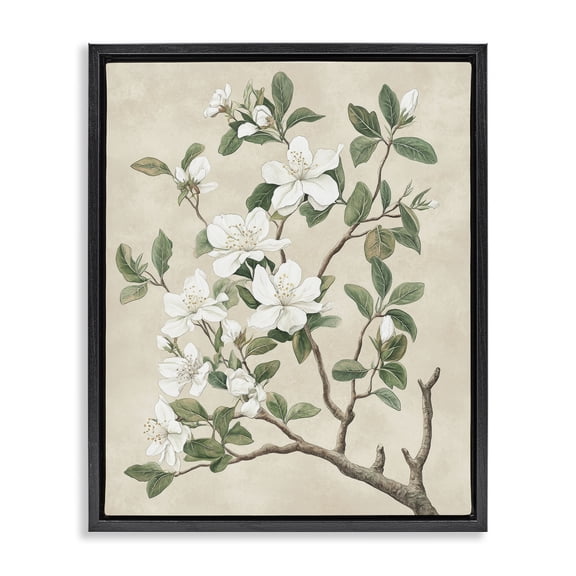 Stupell Industries Shabby Chic Vintage White Blossomed Tree Black Floating Frame Canvas Art, 17 x 21, by Petals Prints Design