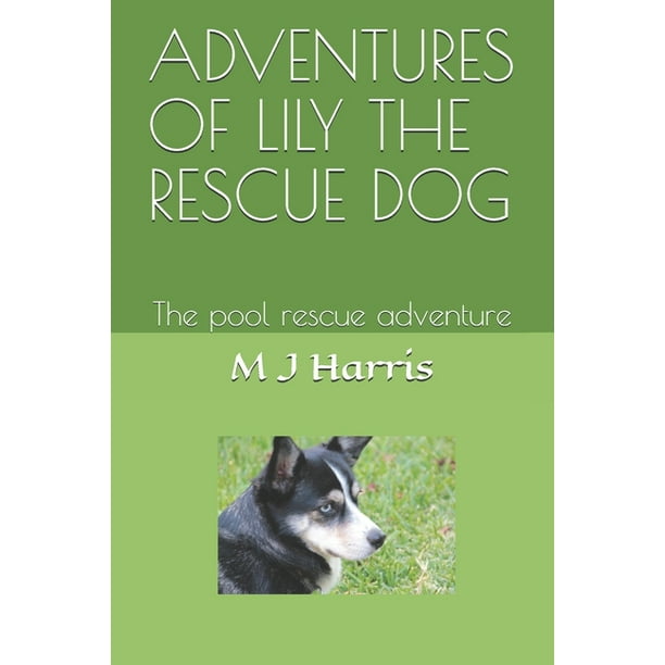 Adventures of Lily the Rescue Dog Adventures of Lily the Rescue Dog The Pool Rescue Adventure