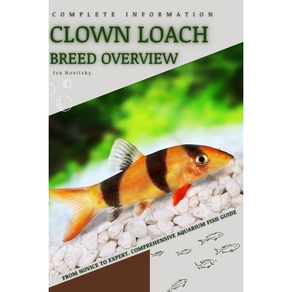 Clown Loach: From Novice to Expert. Comprehensive Aquarium Fish Guide (Paperback)
