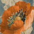 thumbnail image 2 of Orange Poppy Poster Print by Lanie Loreth, 2 of 2