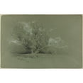 thumbnail image 3 of David Johnson 14x11 Black Modern Framed Museum Art Print Titled - Willow (1885), 3 of 5