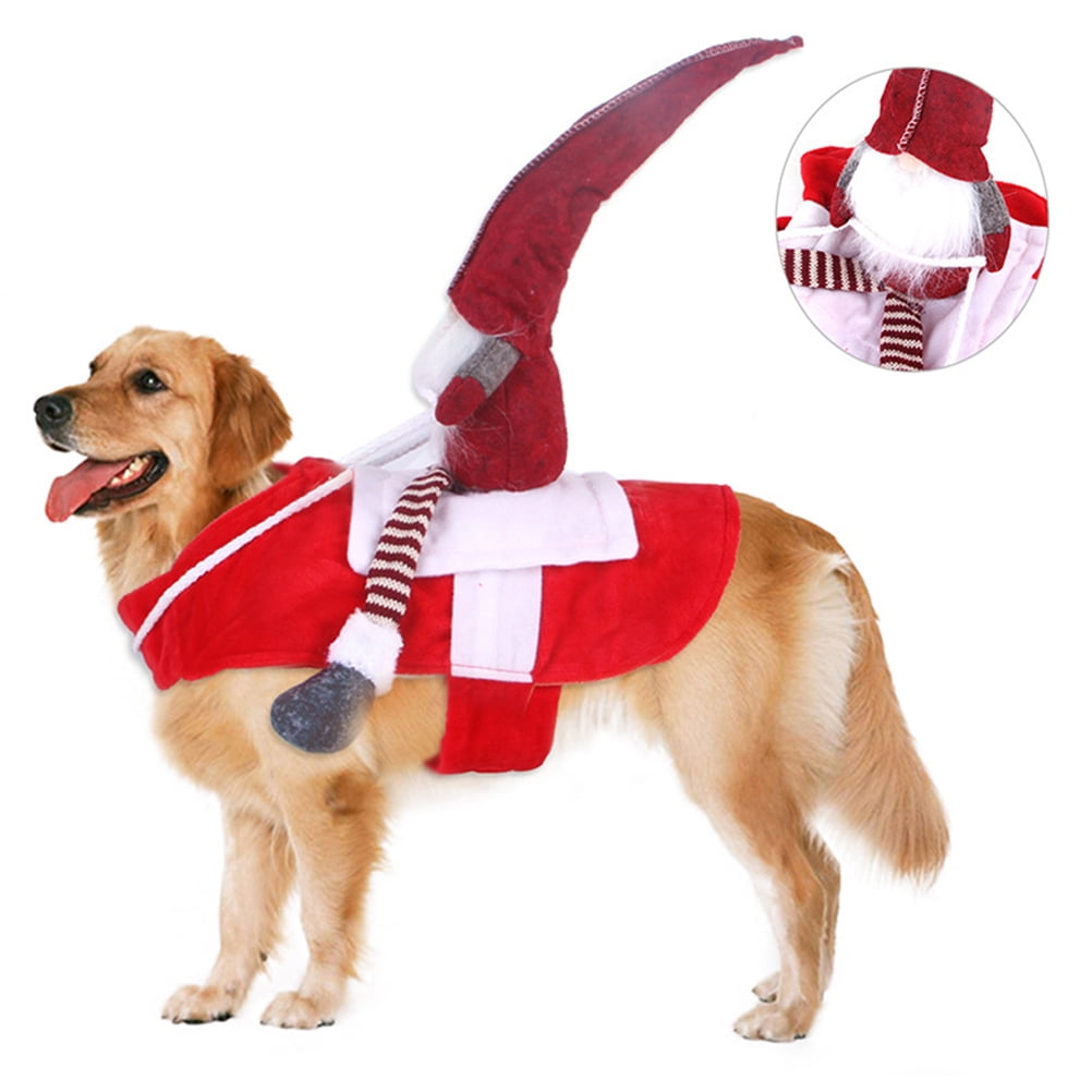 dog santa costume labrador