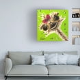 thumbnail image 3 of Hippie Hound Studios 'Ostrich Fifi' Canvas Art, 3 of 3