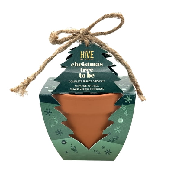 BUZZY Seeds Holiday Spruce Tree Kit 4-Pack Mini Terracotta Pots with Non-GMO Seeds and Growing Medium – Indoor Gardening Gift and Fun Stocking Stuffer for Tree Huggers, Family and Nature Lovers