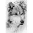thumbnail image 1 of Cuadros Decorativos Cuadro de arte de cuentas de mosaico de lobo gris con pintura de diamante cuadrado de taladro completo DIY Sywqhk Nuevos Originales, 1 of 9
