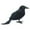 Halloween Skeleton-A, variant on CASAFUN Realistic Crows Halloween Handmade Crow Prop Feathered Black Crows Props Raven Scene Birds Decoration