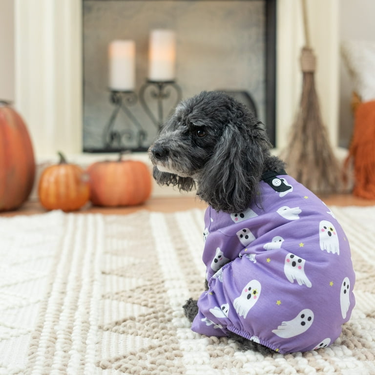 Vibrant Life Dog and Cat Clothes, Ghosts and Stars Halloween Pet