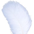 thumbnail image 2 of AWAYTR Plumas de avestruz naturales de 18 a 20 pulgadas (45 a 50 cm) para centros de mesa de boda, decoración del hogar, arreglos florales, decoraciones navideñas de bricolaje (10 unidades, blanco-1), 2 of 4