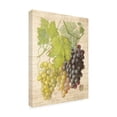 thumbnail image 2 of Trademark Fine Art 'Grapevine I' Canvas Art by Nobleworks Inc., 2 of 4