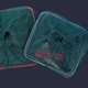 thumbnail image 3 of Soidarity Red versátil de nailon para captura de peces, cangrejos, cangrejos, camarones, para cada aventura de pesca, trampa para peces Pescar, 3 of 6