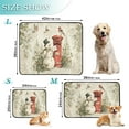 thumbnail image 3 of Qxltty Snowman Mail Carrier Cat litter Pads Pet Set of 3 Diaper Mats Center Anti-leakage Layer Absorbent Soft and Comfortable, 3 of 7