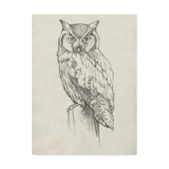 Trademark Fine Art 'Owl Portrait II' Canvas Art by Jennifer Goldberger