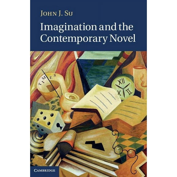 Imagination and the Contemporary Novel, (Hardcover)