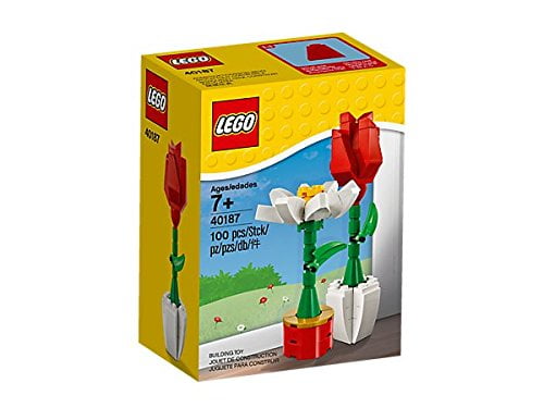 Chocolate Box & Flower Valentine Day Lego Friends NEW SEALED 30411 