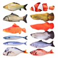 thumbnail image 2 of Juguete para gatos, juguetes de peces, peluche para mascotas, hierba gatera, pez, gatito, carpa, juguete para gatos, palo, 2 of 5