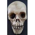 thumbnail image 1 of Skull Greenbrier de plástico para Halloween, 11,4 x 10,2 x 16,5 cm, 1 of 1