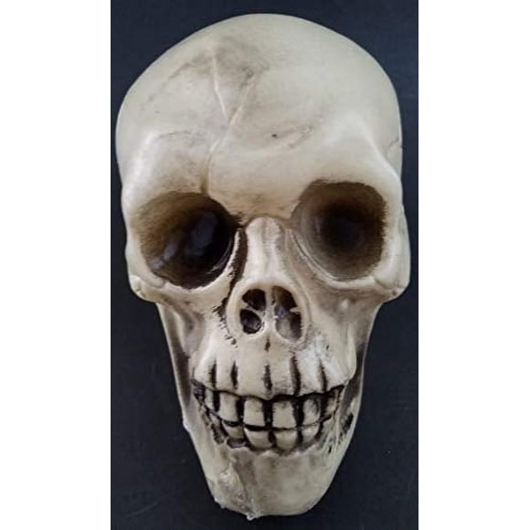 Skull Greenbrier de plástico para Halloween, 11,4 x 10,2 x 16,5 cm