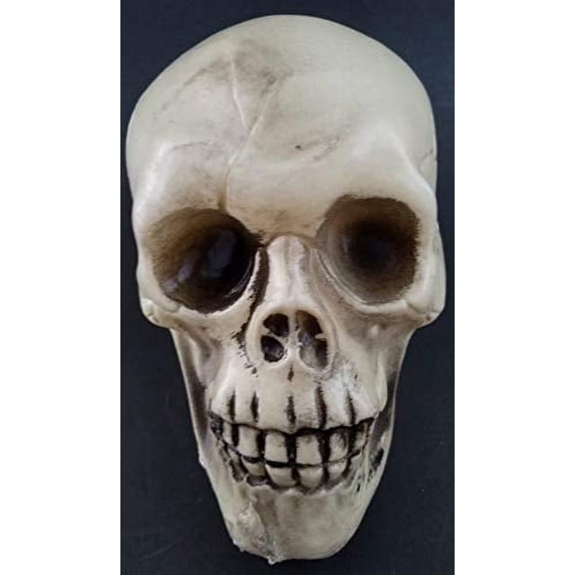 Skull Greenbrier de plástico para Halloween, 11,4 x 10,2 x 16,5 cm