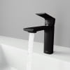 VIGO Davidson Single Handle Single-Hole Bathroom Faucet Sink in Matte Black