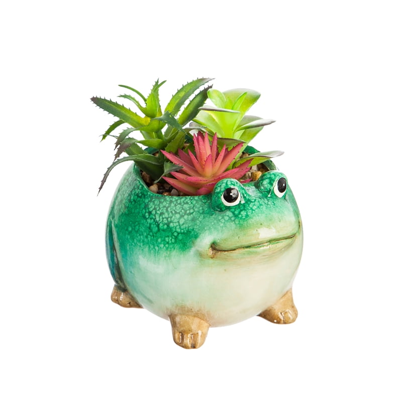 Evergreen Ceramic Frog Planter with Succulent 8FLP162