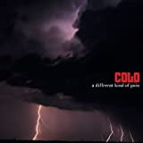 Pre-Owned A Different Kind of Pain (CD 0075679410726) by Cold