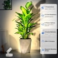 thumbnail image 2 of LED Spotlight Indoor, Rechargeable Battery Uplighting Indoor with Timer＆Dimmable Remote, 3CCT Picture Lights for Wall, Wireless Accent Light for Plants Artwork Painting, 2 Pack White, 2 of 8