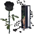 thumbnail image 1 of Flores de rosas negras preservadas YAMPP para mujer, 5 años de duración, 1 of 7