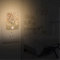 thumbnail image 2 of Yayeee LED Night Lights with Motion Detectors Auto Dusk to Dawn Light Sensors, 2 Pack, Beige Floral Garden, 2 of 7