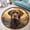 Chocolate Lab, variant on Round Area Rug, English Springer Spaniel Non-Slip Floor Mat, Soft Washable Carpet for Living Room Bedroom Decor 31 Inch