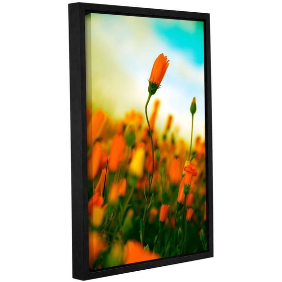 ArtWall Elena Ray "African Daisy" Gallery-wrapped Floater-framed Canvas