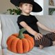 thumbnail image 2 of Cojín Decorativo Suave Con Calabaza De Halloween Funda De Cojín Acogedora Para Sofá Cama Y Salón, 2 of 2