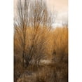 thumbnail image 3 of Geyman, Vitaly 13x18 Black Modern Framed Museum Art Print Titled - Spring Serenity II, 3 of 5