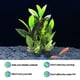 thumbnail image 3 of Acuario, decoración de pecera, conjunto de árbol de plantas de acuario, decoración de pecera, 3 of 5