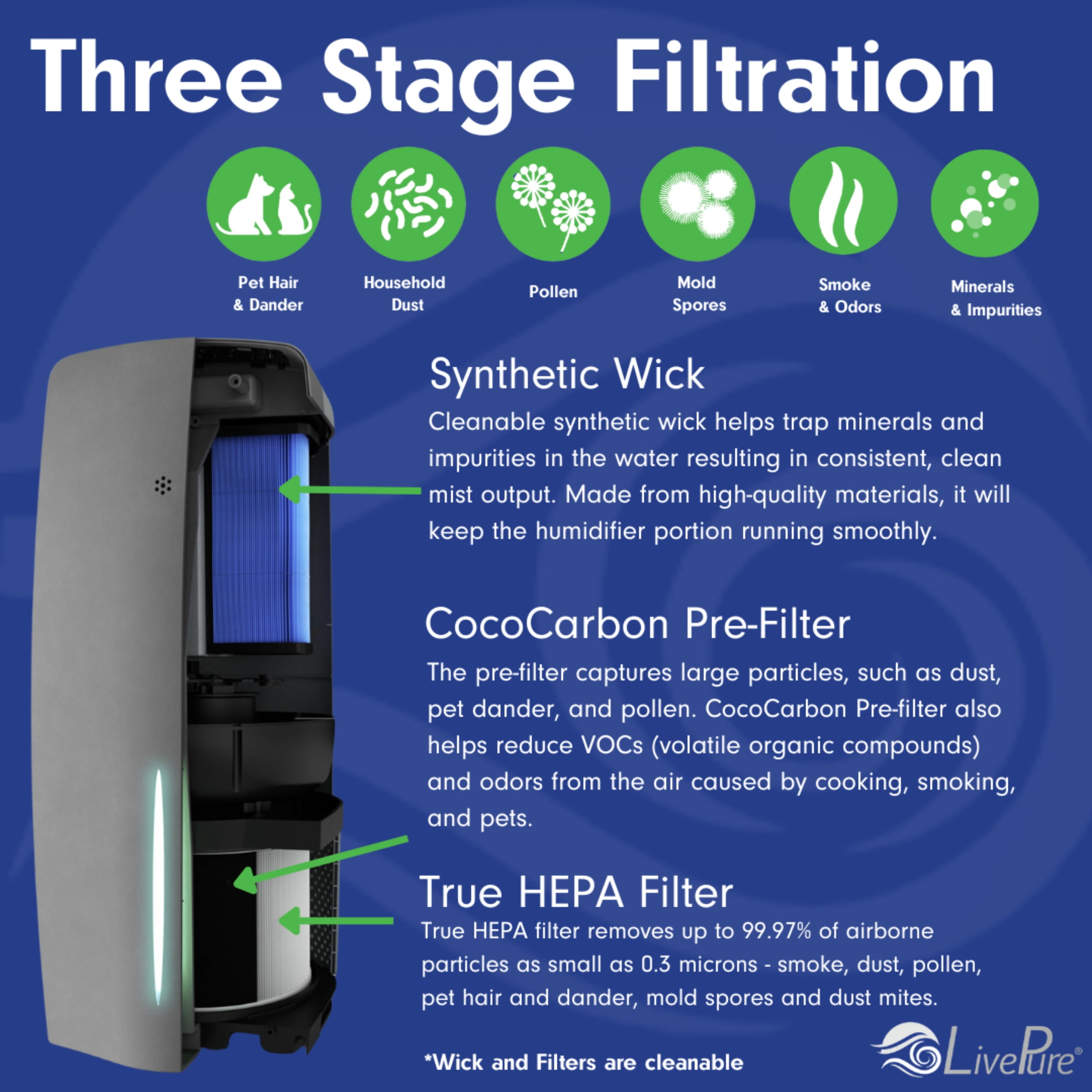 LivePure True HEPA Air Purifier & Humidifier, Graphite