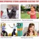 thumbnail image 3 of String Shooter,loop Lasso String Shooter Toy, Handheld Sports Fun Toy, Rope Propeller Rope Launcher, String Shooter, Loop Lasso, Loop Lasso Toy, Zip S, 3 of 5
