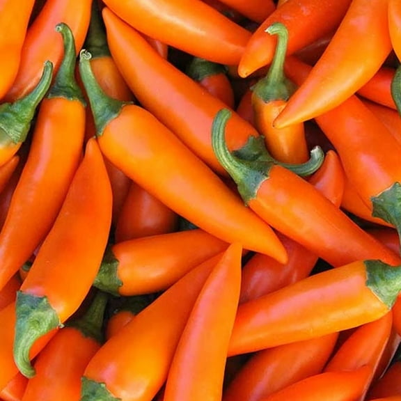 Pepper Seeds - Hot - Bulgarian Carrot - 250 Mg Packet ~45 Seeds - Capsicum annuum - Non-GMO, Heirloom - Farm & Vegetable Garden