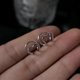 thumbnail image 5 of Korean Minimalist Earrings Set for Women, Gold Cartilage Clip Earrings, NonPierced Punk Jewelry, Cute Birthday Gifts, 5 of 5