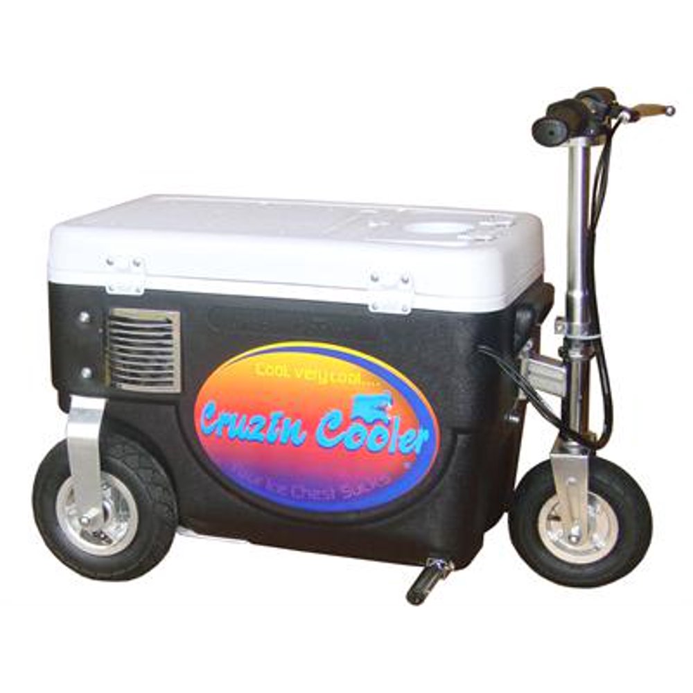 Cruzin Cooler 300W Scooter, Black