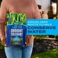 thumbnail image 3 of Scotts Grass Seed Drought Tolerant Mix, 2,000 sq. ft., 4 lb., 3 of 13