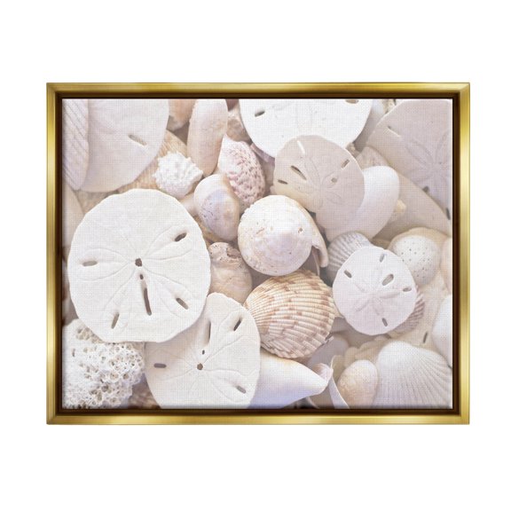 White Mixed Sand Dollar Shells Coastal Photograph Metallic Gold Framed Art Print Wall Art