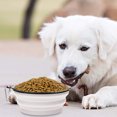 thumbnail image 3 of Portable Collapsible Pet Bowl Travel Food And Water Dish For Cats And Dogs Lightweight And Foldable Design Suitable For Outdoor Adventures Feeding And Hydration, 3 of 4