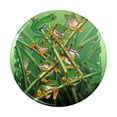 thumbnail image 1 of Red Eye Tree Frog Grouping Tropical Rainforest Kitchen Refrigerator Locker Button Magnet, 1 of 6