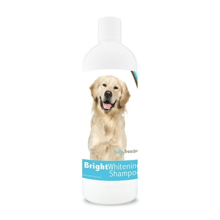 Healthy Breeds Golden Retriever Bright Whitening Dog Shampoo 12 (Best Shampoo For Golden Retrievers)