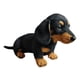 thumbnail image 3 of Muñeco de peluche de perro salchicha adorable y tierno para adolescentes, niños y niñas. negro, 3 of 9